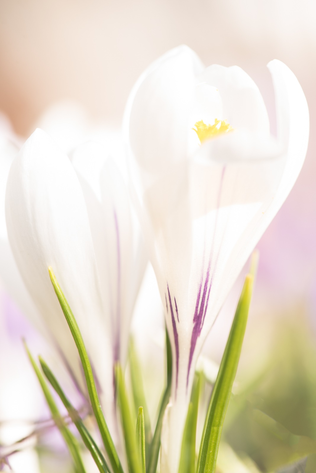 6. Platz Christian Reichert